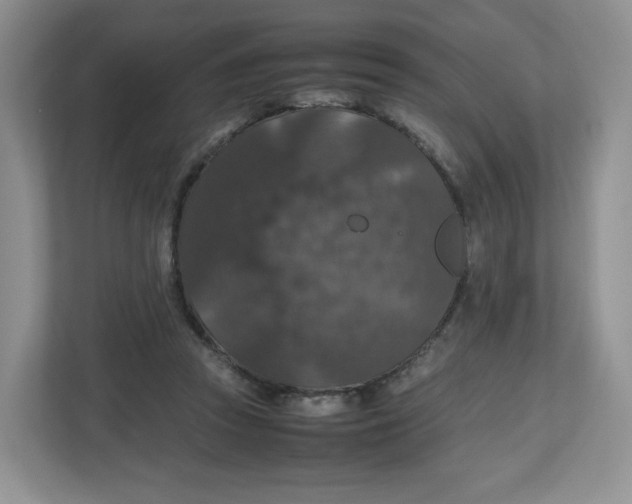 X0000112470353200909141123