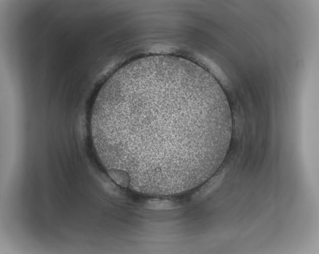 X0000112470354200909141123