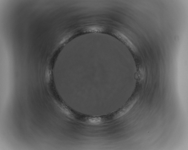 X0000112470355200909141123