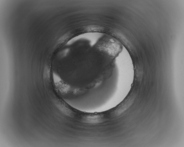 X0000112470357200909141123