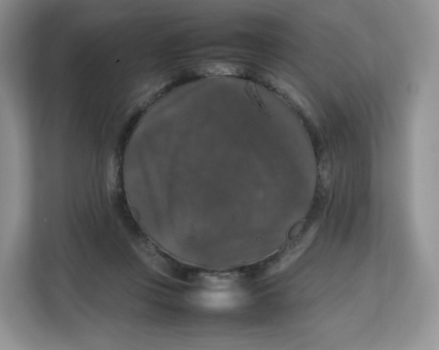 X0000112470359200909141123