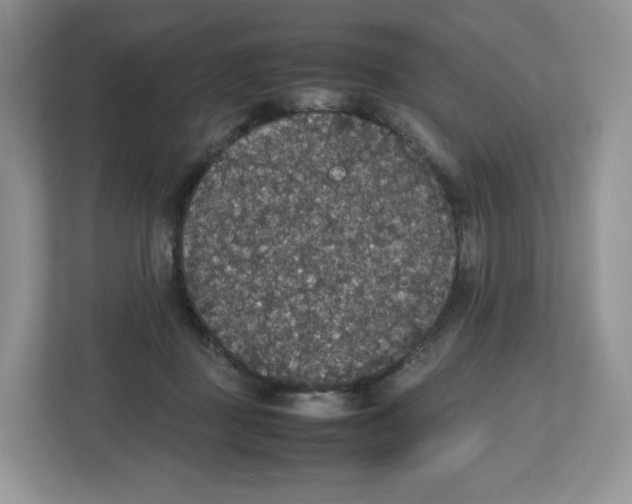 X0000112470363200909141123