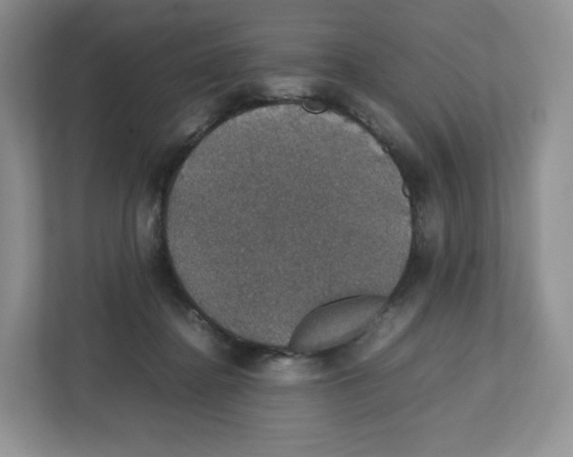 X0000112470364200909141123