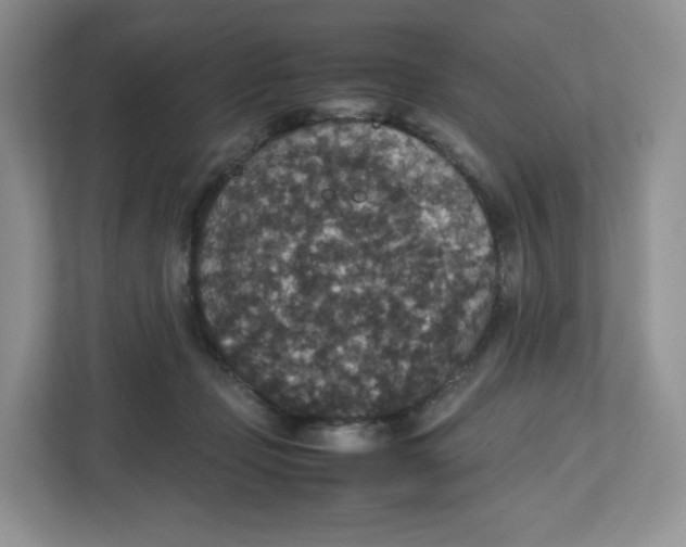X0000112470365200909141123