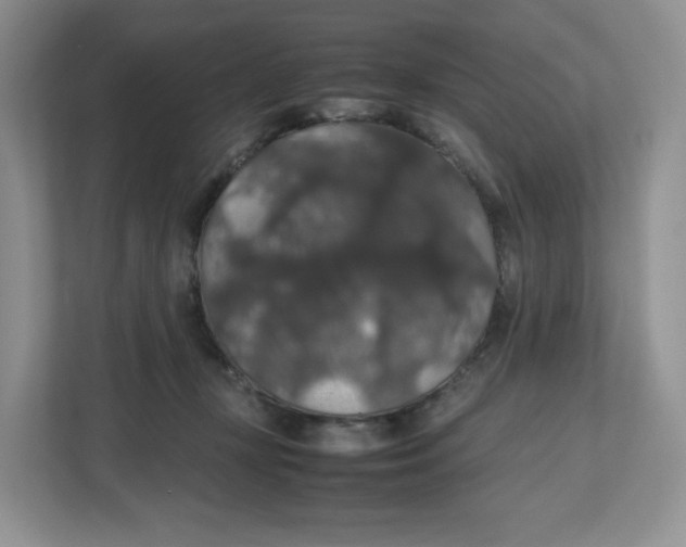 X0000112470367200909141123