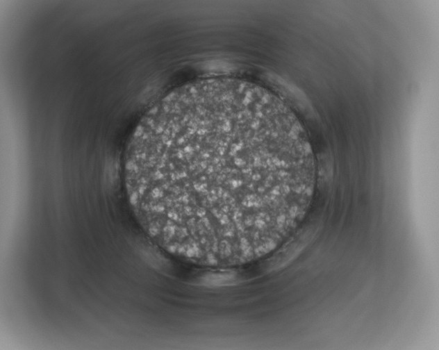 X0000112470369200909141123