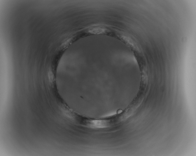X0000112470371200909141123