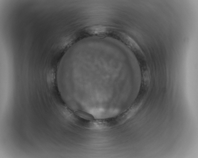 X0000112470372200909141123