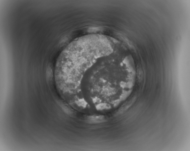 X0000112470375200909141123