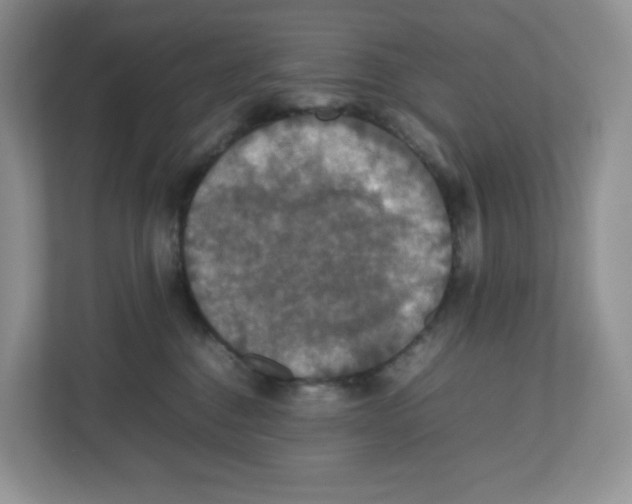 X0000112470376200909141123