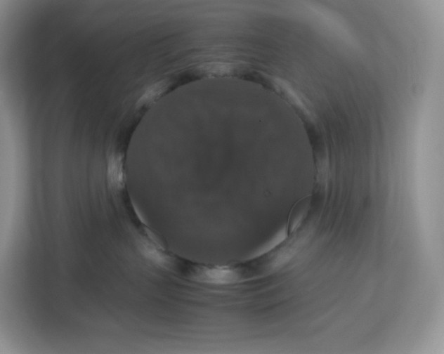 X0000112470383200909141123
