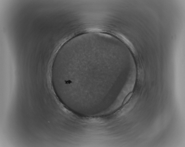 X0000112470385200909141123