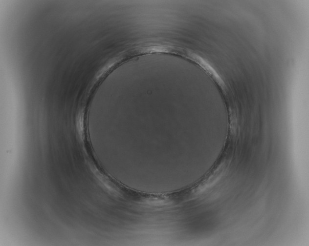 X0000112470386200909141123