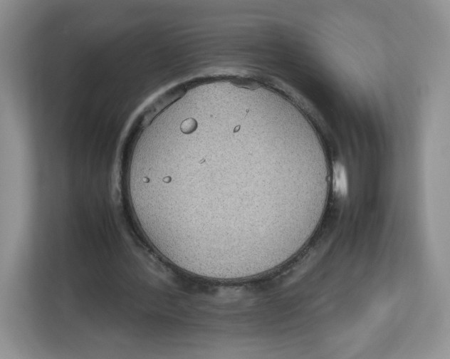 X0000112470388200909141122
