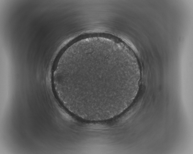X0000112470389200909141122