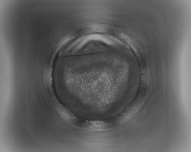 X0000112470395200909141122