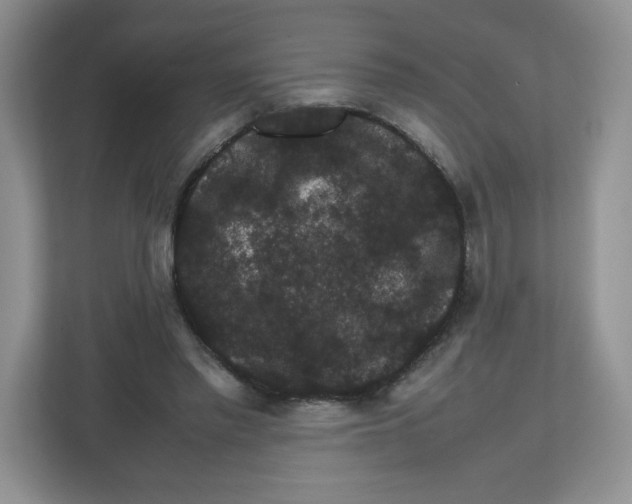 X0000112470397200909141122