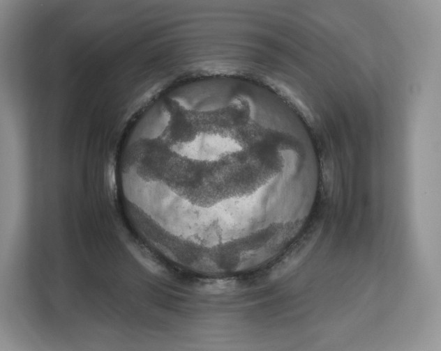 X0000112470398200909141122