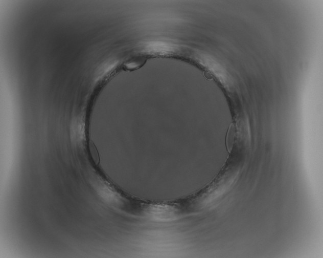 X0000112470399200909141122