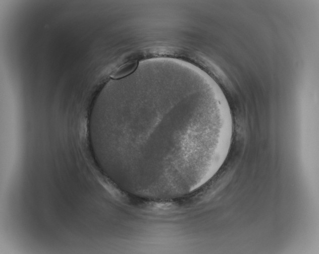 X0000112470401200909141122