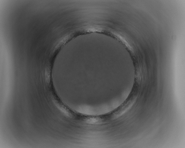 X0000112470402200909141122