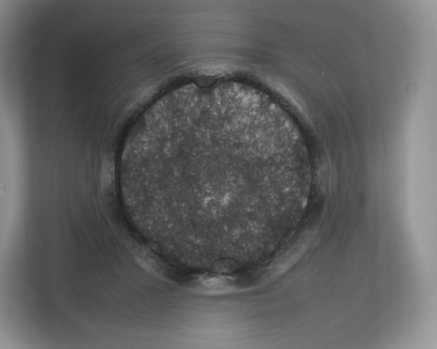 X0000112470407200909141122