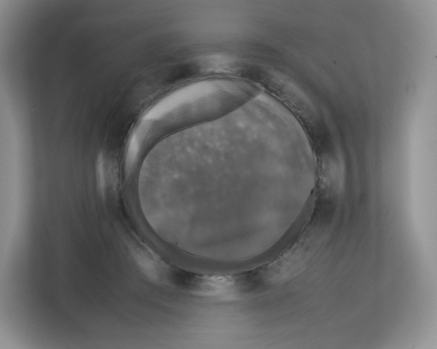 X0000112470409200909141122