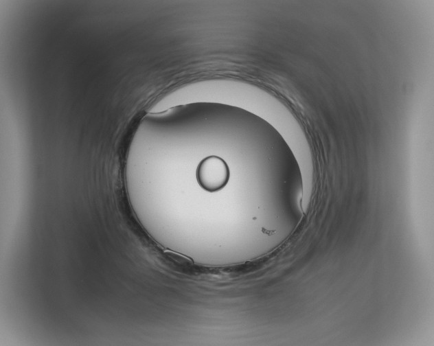 X0000112470411200909141122