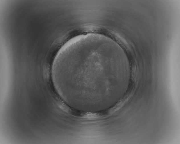 X0000112470413200909141122