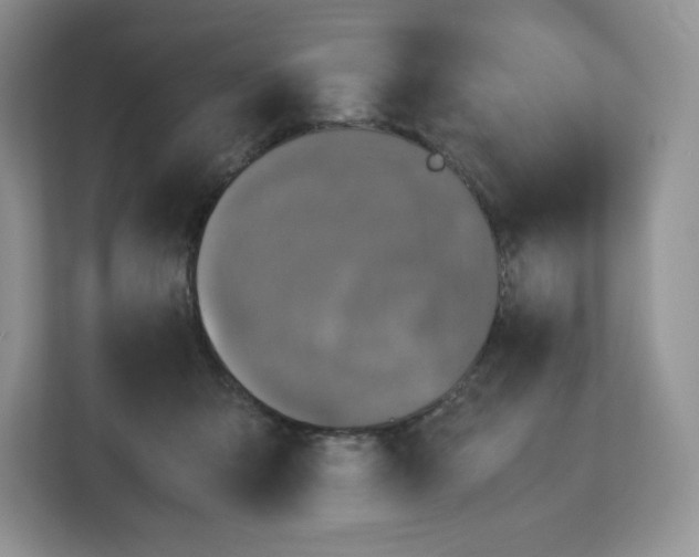 X0000112470415200909141122