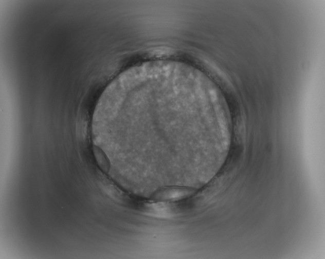 X0000112470417200909141122