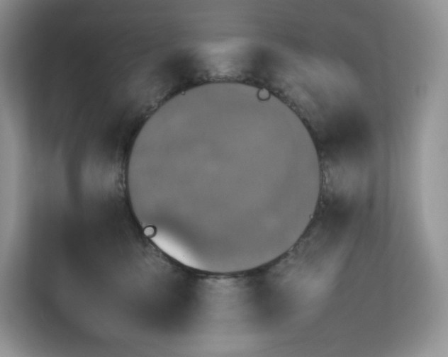 X0000112470419200909141122