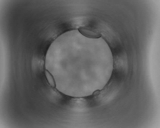 X0000112470427200909141122