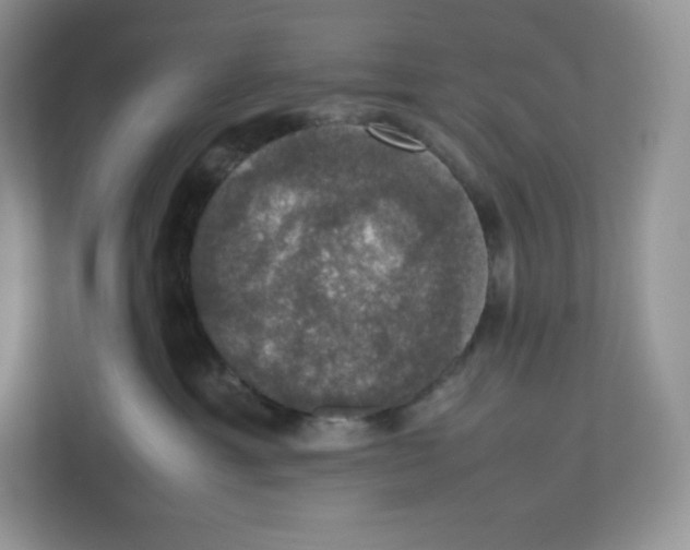 X0000112470429200909141122