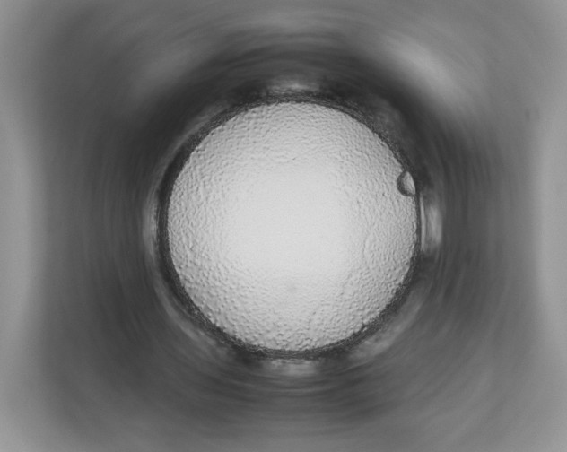 X0000112470435200909141121