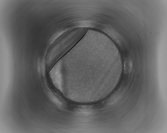 X0000112470436200909141121