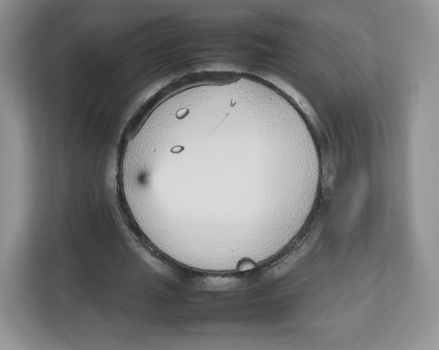 X0000112470437200909141121