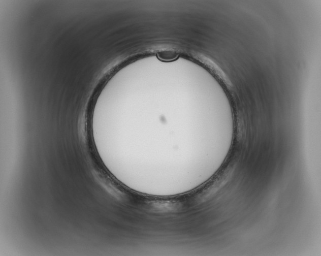 X0000112470439200909141121
