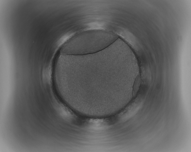 X0000112470440200909141121