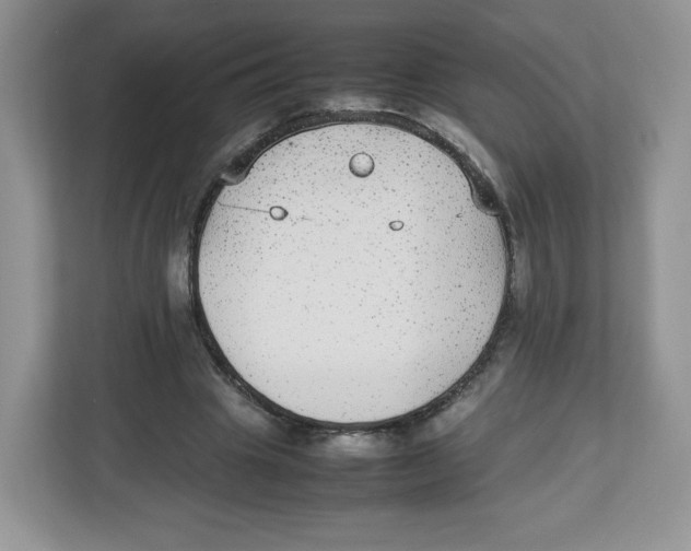 X0000112470441200909141121