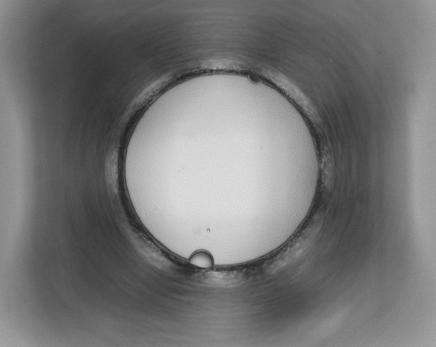 X0000112470442200909141121