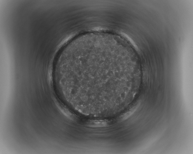 X0000112470443200909141121