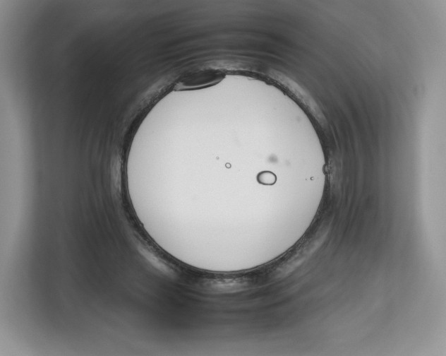 X0000112470445200909141121