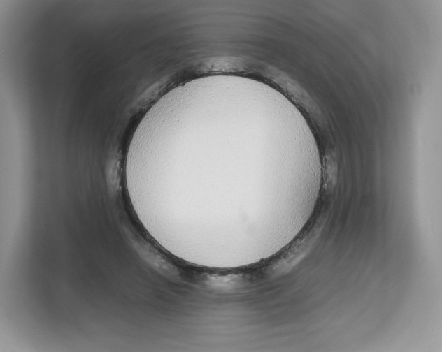 X0000112470450200909141122