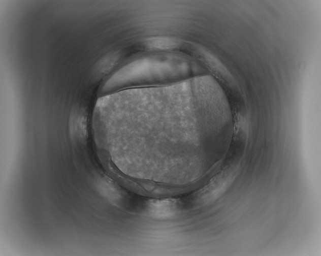X0000112470452200909141122