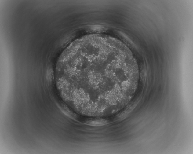 X0000112470459200909141122
