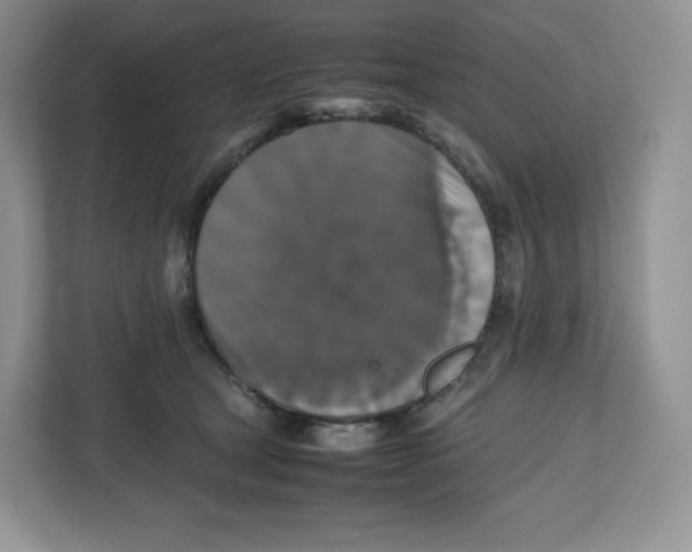 X0000112470465200909141122