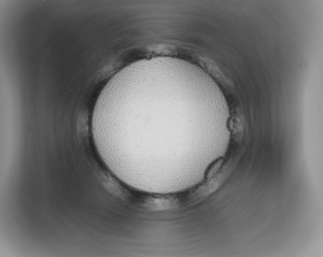 X0000112470466200909141122