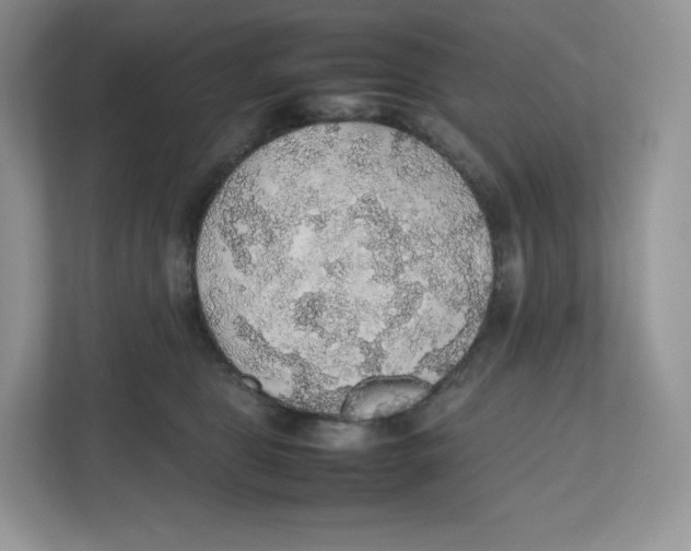 X0000112470469200909141122