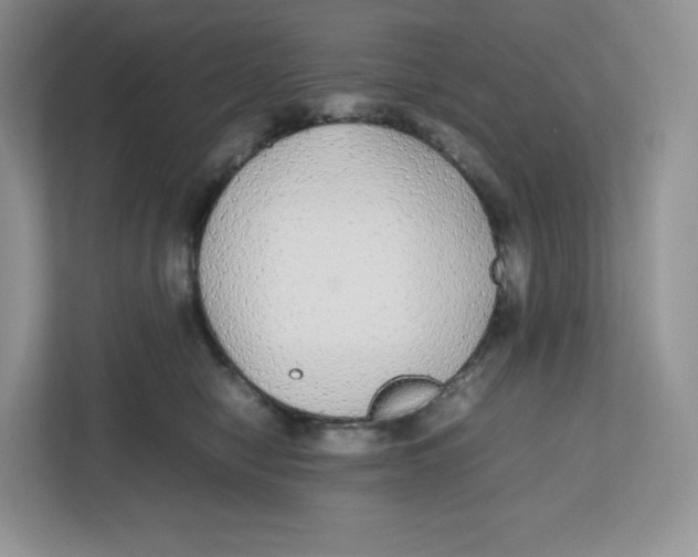 X0000112470470200909141122